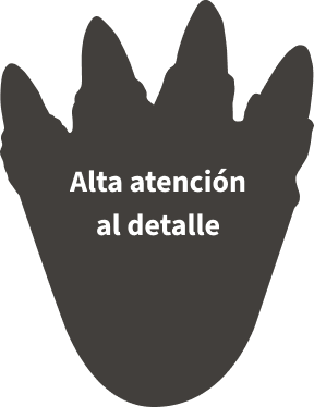 Alta atención al detalle