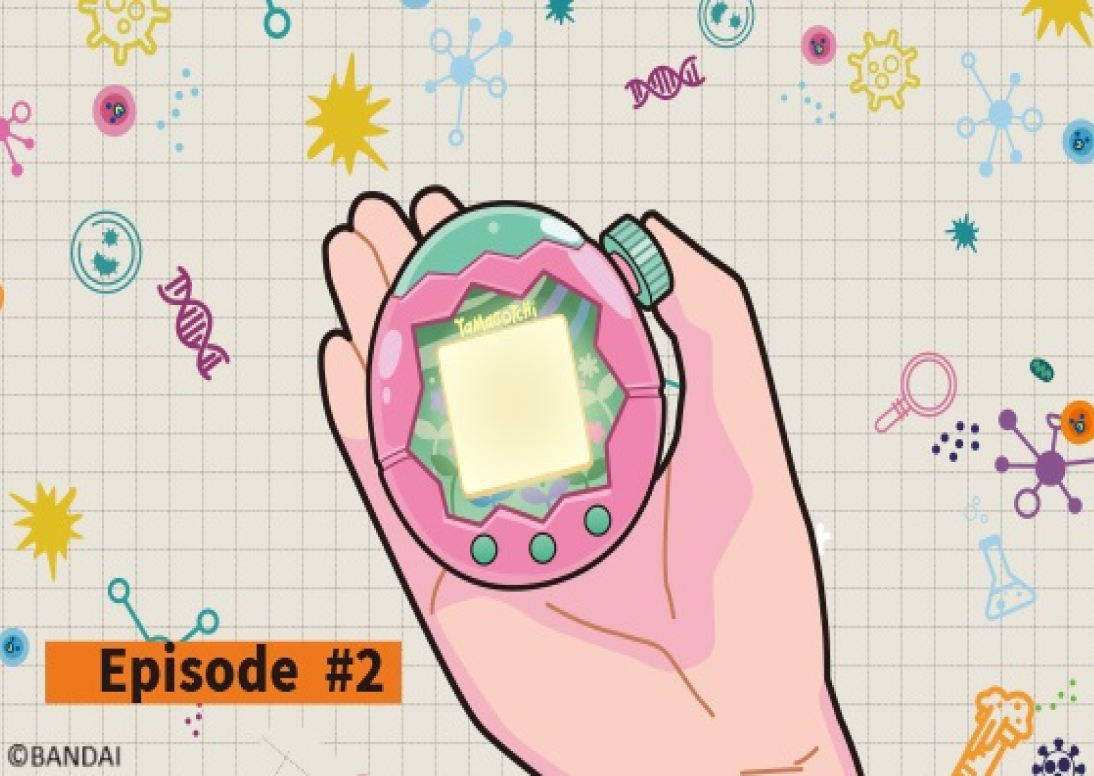 ¡Prepárate para vivir un evento como ningún otro!