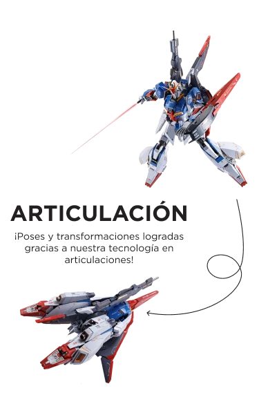 Articulación 1
